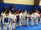 Sport TKD Tournament - Apr 1, 2017 _28