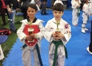 Sport TKD Tournament - Apr 1, 2017 _34